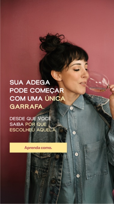 Criativo — adega uma garrafa